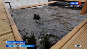 Вести Санкт-Петербург. Выпуск 07.35 от 29.08.2025