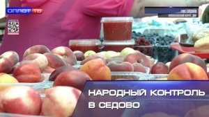 Народный контроль в Седово