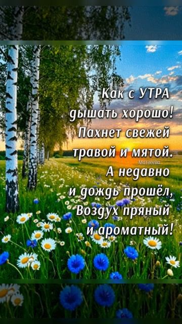 Доброе утро ☀ 🌝⏰