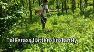 Создайте безупречный газон – только оптовая продажа.