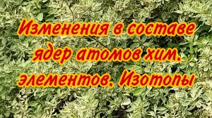 Изотопы. Ядерные реакции