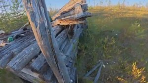 Красоты тайги