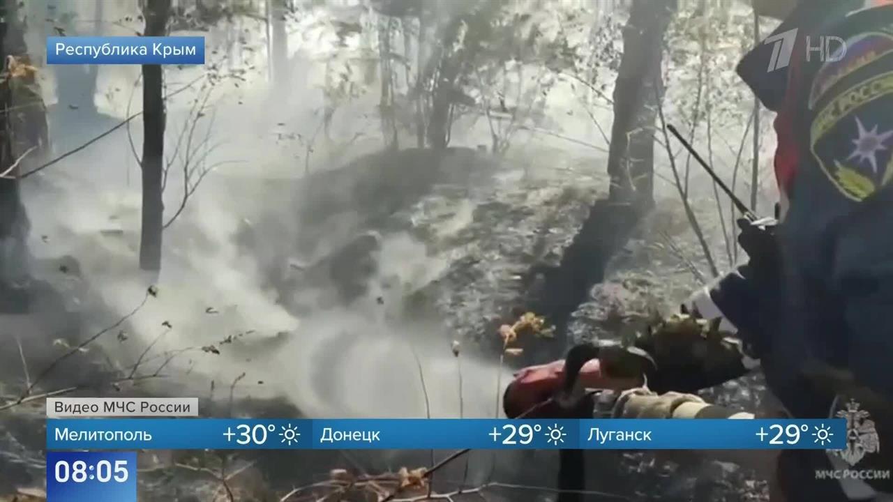 Появились кадры крупного природного пожара в Крыму