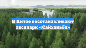 В Китае восстанавливают лесопарк «Сайханьба»
