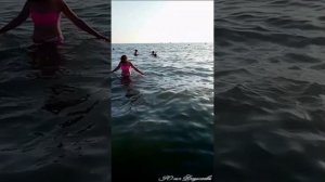 Несколько дней у моря (видео)
