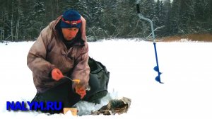 Чем кормить леща зимой?