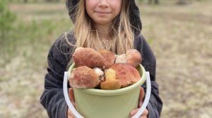 Сбор БЕЛЫХ Грибов июль-август 2025 год