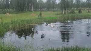 Санаа ахтылҕана