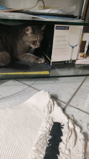 давайте нам задания