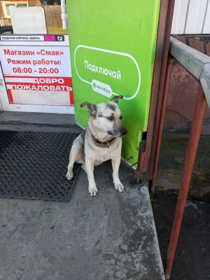 охранник года