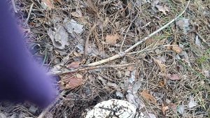 Грибная пора. *Пахнет Августом, пахнет осенью..... *НАТАЛЬЯ ФАРЕНБРУХ&АРТЕМ.. Грузди вот они какие.