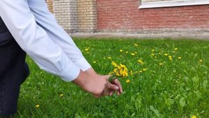 Еремеев Артём, 16 лет. Н. М. Рубцов. "Букет"