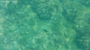 День 12 (27.08.25) - Турбаза Энергетик