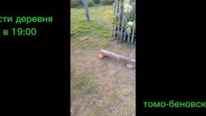 вести деревня в 19:00