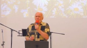 Расцвела ромашка полевая