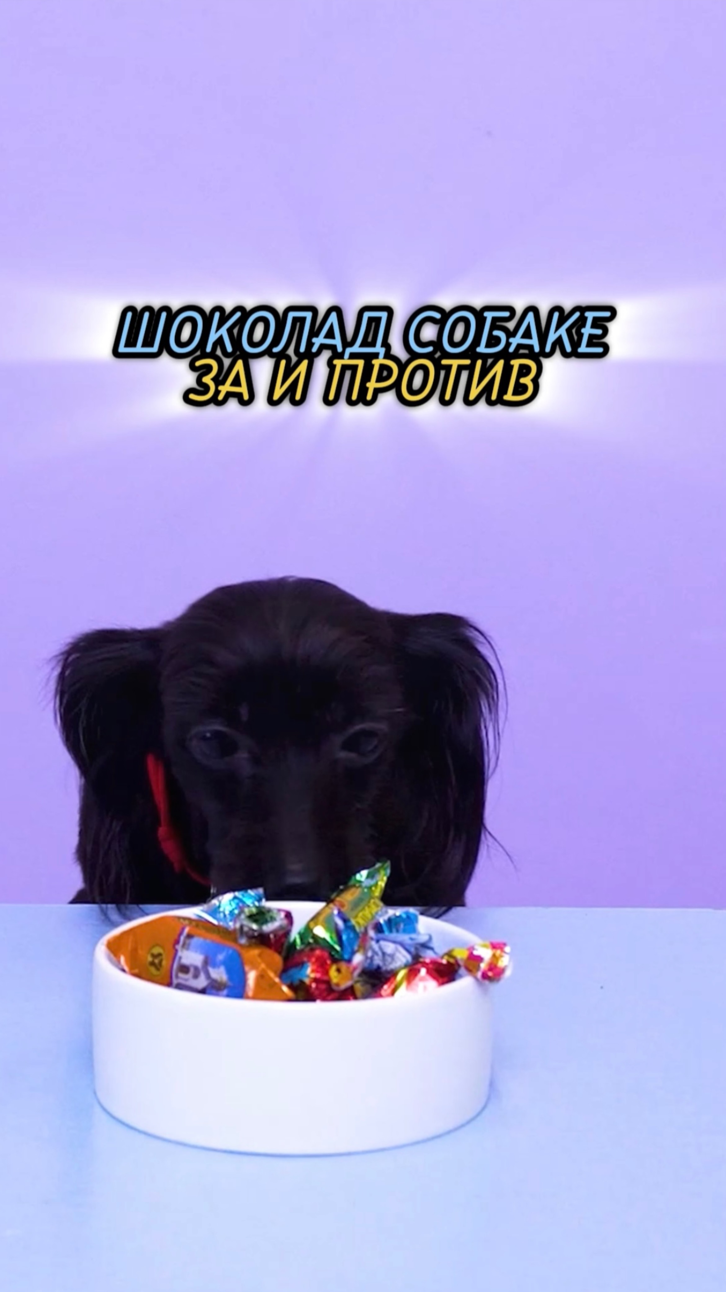 🎁Бесплатные уроки. Жми сюда! смотреть онлайн