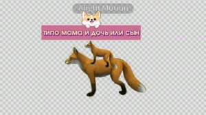 это точно было в онлайне в вилд крафт