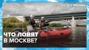 Что ловить в Москве?|Это Москва — Москва 24|Контент