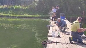 Поимка на резину