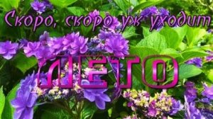 Уходит лето. Музыкальная открытка поздравление.