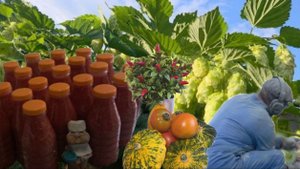 ОДНИМ ДНЁМ В ДЕРЕВНЕ/РАБОТА БРАТА И ЕГО ЗОЛОТЫЕ РУКИ/БУДНИ В ГОРОДЕ/ 30-08-2025