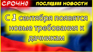 Новые правила для дачников с 1 сентября 2025: за что могут оштрафовать или отнять участок