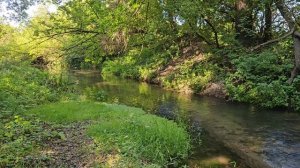 Природа 2025 uhd