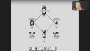 Буковы Мо и Живите: Сакральный код Вселенной, скрытый в этих знаках