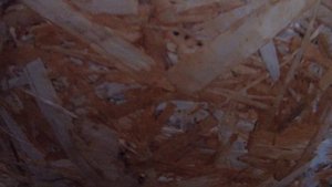 Собираем грибы и сразу сушим!!!