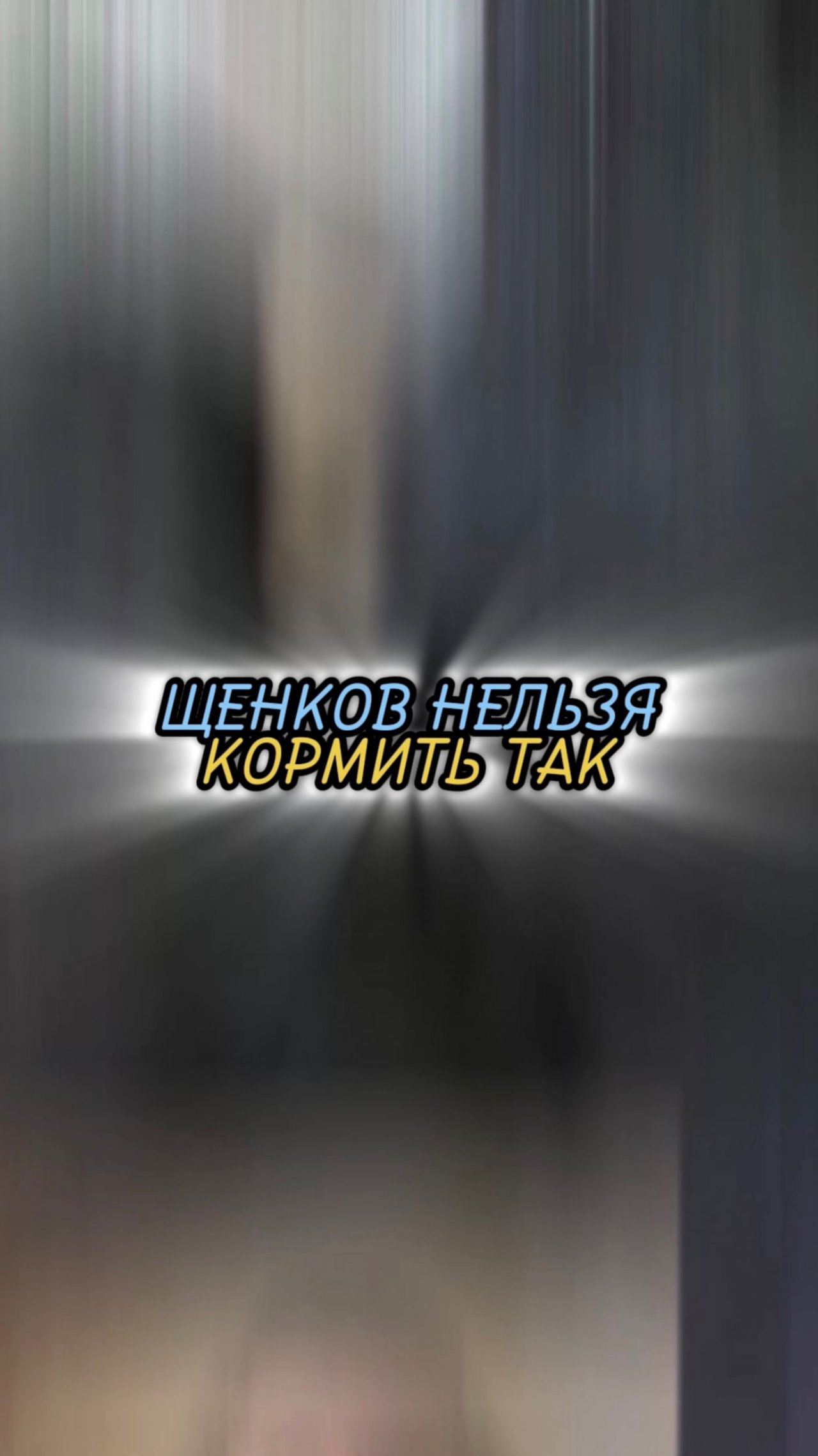 🎁Бесплатные уроки. Жми сюда! смотреть онлайн