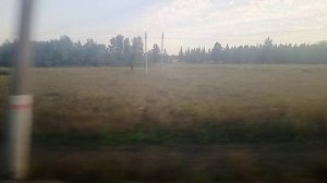 Челябинская область вид из окна поезда (видео_20250824_074251)