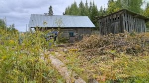 Дождь, капают капли.