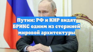 Путин: РФ и КНР видят БРИКС одним из стержней мировой архитектуры