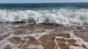 Отдых на пляже Азовского моря летом 2025 года в станице Голубицкой