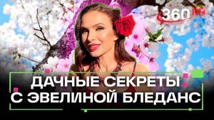 Защищаем цветы от холодов и разбираем народные рецепты лечения бронхита. Дача 360. Бледанс