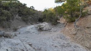 Новый Свет Крым