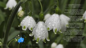 Владимир Соловьев "Белые колокольчики" 1899 г.