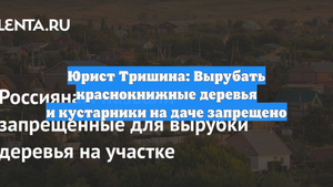 Юрист Тришина: Вырубать краснокнижные деревья и кустарники на даче запрещено