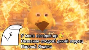 У меня сегодня др🥳 сходка