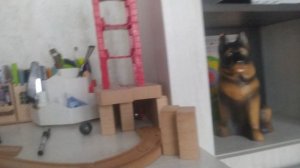 VID_20250830_154622.mp4