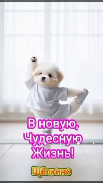 Доброе утро. ВидеоОткрытка смотреть онлайн