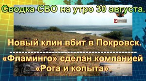 Сводка СВО на утро 30 августа. Открылась страшная тайна «озера мертвецов» в ДНР