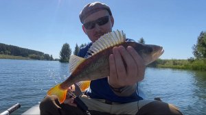 Щуки нет, одни окуни. Бейткастинг. 30.08.2025