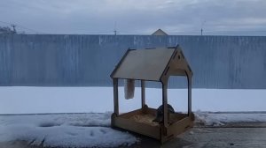 Из Германии в Россию/ 30 лет спустя/ Не теряет шанс/ Врата Сибири/ Тюмень/ Наша жизнь в России/ Влог