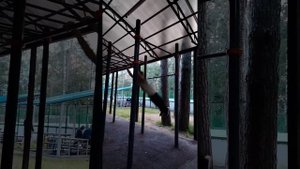 Как сделать крутые трюки на турниках ЛЕГКО