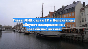 Главы МИД стран ЕС в Копенгагене обсудят замороженные российские активы