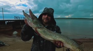Рыбалка на КАМСКОМ ВОДОХРАНИЛИЩЕ! ТАМ ГДЕ БЫЛ PAL 2025. ЛОВЛЯ ЩУКИ В АВГУСТЕ.