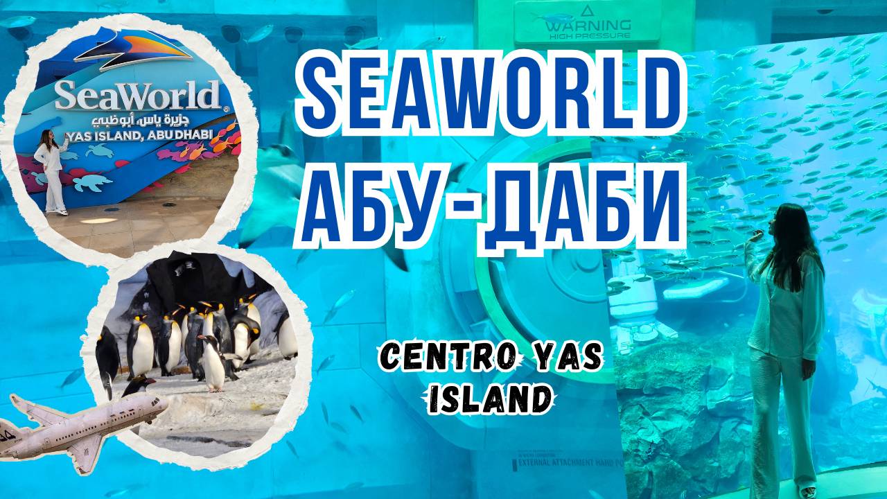 SeaWorld ВПЕЧАТЛИЛ, отель Centro Yas Island Абу-Даби смотреть онлайн