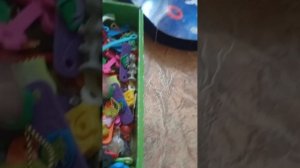 показываю всех своих скрепышей