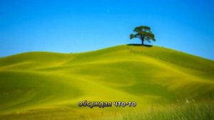 Молодая пара отдала больного сына в детский дом, а его ответ спустя годы потряс их.